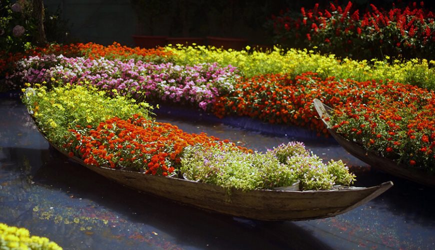 Da Lat Flower Garden