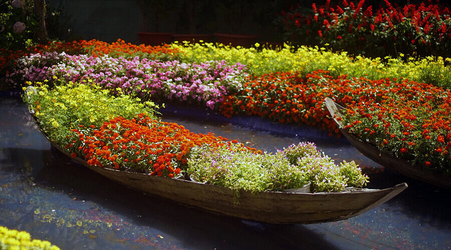 Da Lat Flower Garden
