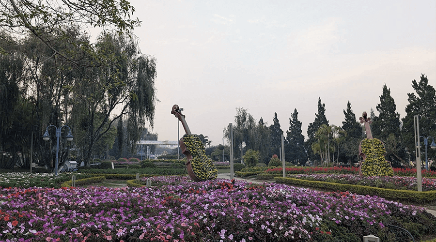 Da Lat Flower Garden