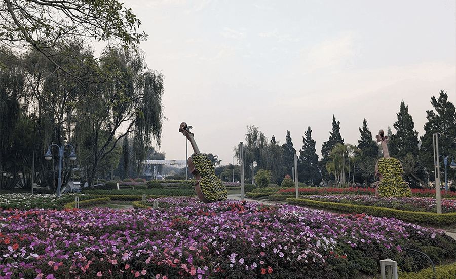 Da Lat Flower Garden