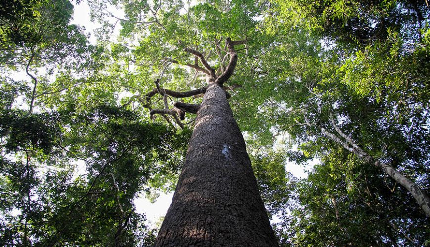 Lo Go-Xa Mat National Park