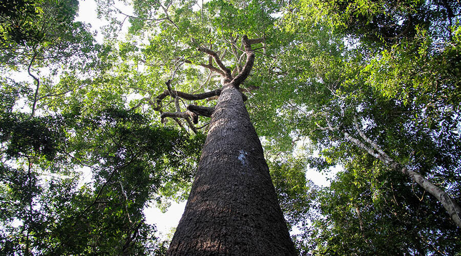 Lo Go-Xa Mat National Park