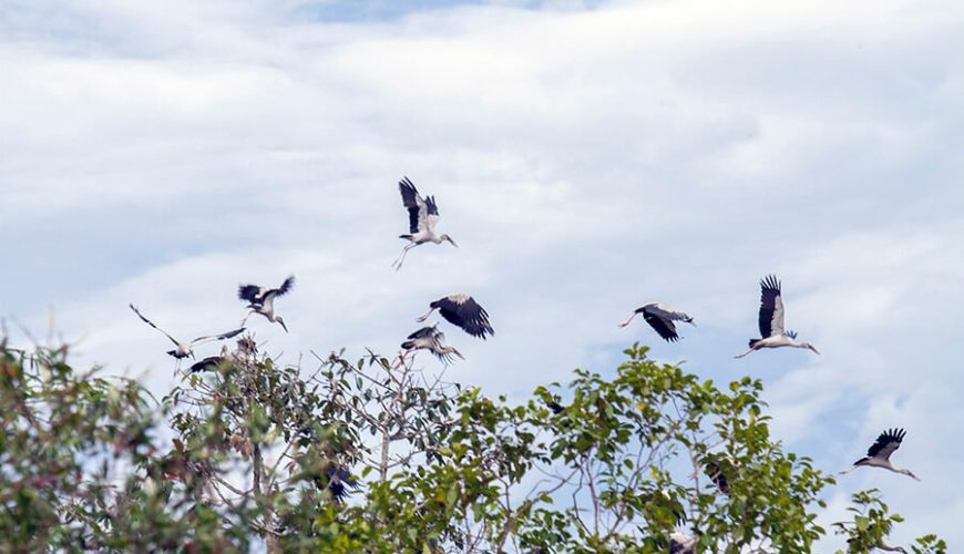 Lo Go-Xa Mat National Park
