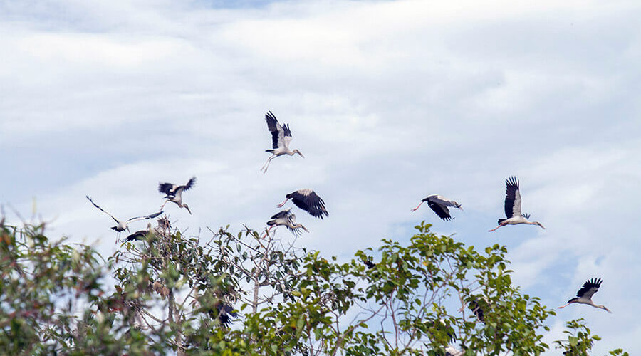 Lo Go-Xa Mat National Park