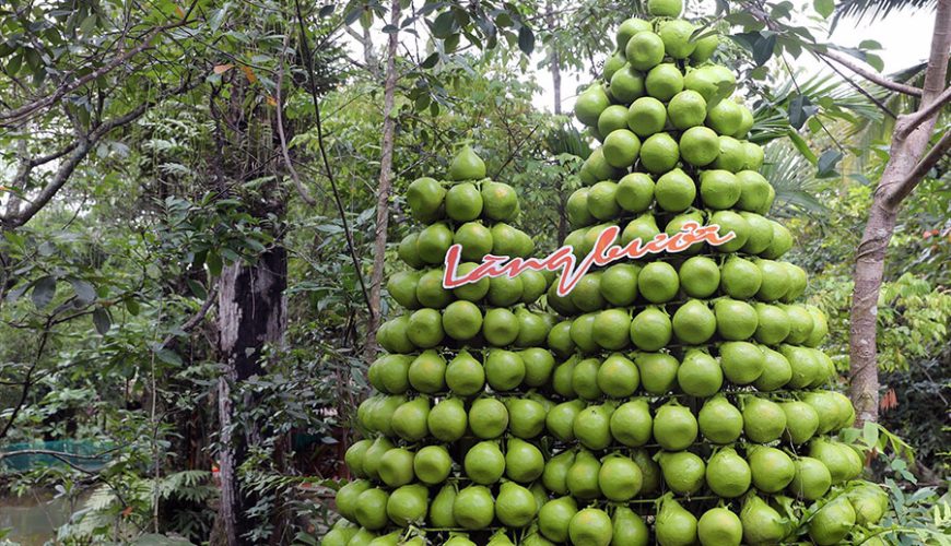 Tan Trieu Pomelo Village