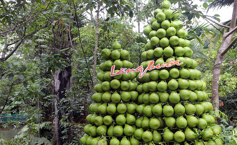 Tan Trieu Pomelo Village
