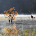 Tuyen Lam Lake