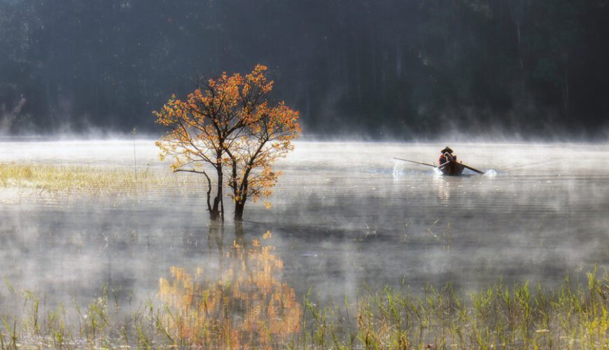 Tuyen Lam Lake