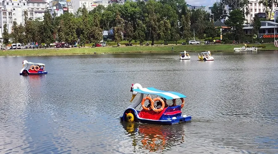 Duck paddle boat in Xuan Huong Lake
