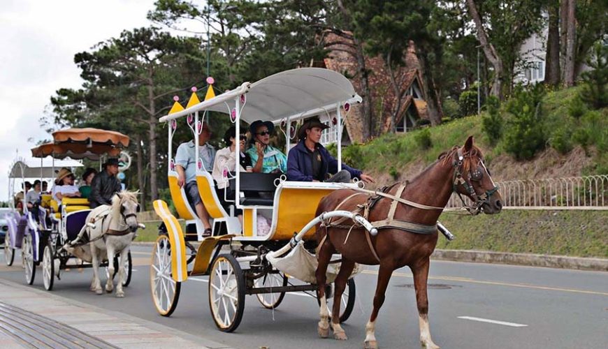 horse-drawn carriage around Xuan Huong Lake