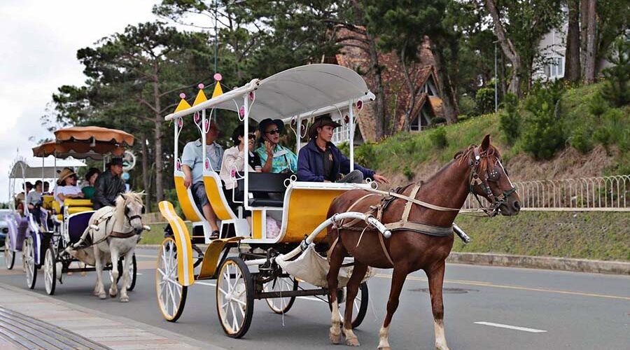 horse-drawn carriage around Xuan Huong Lake