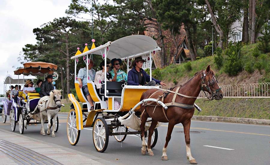horse-drawn carriage around Xuan Huong Lake