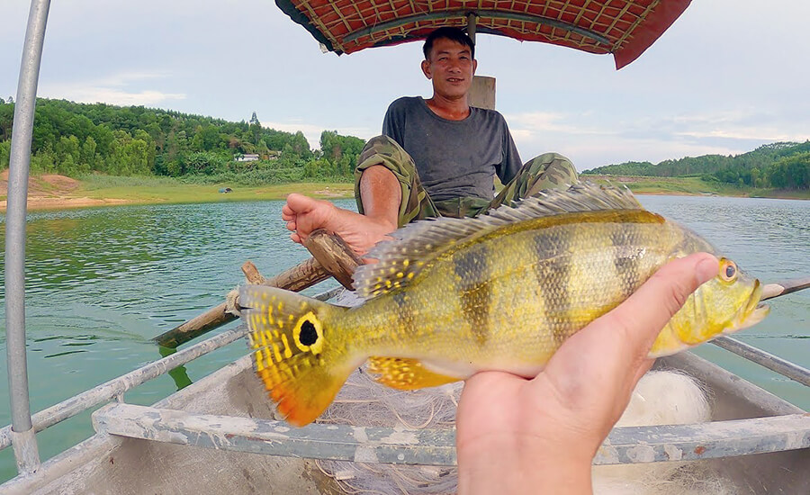 fishing in Tri An Reservoir