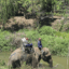 riding elephant in Prenn Waterfall