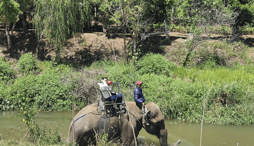 riding elephant in Prenn Waterfall