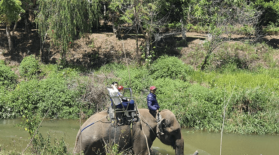 riding elephant in Prenn Waterfall