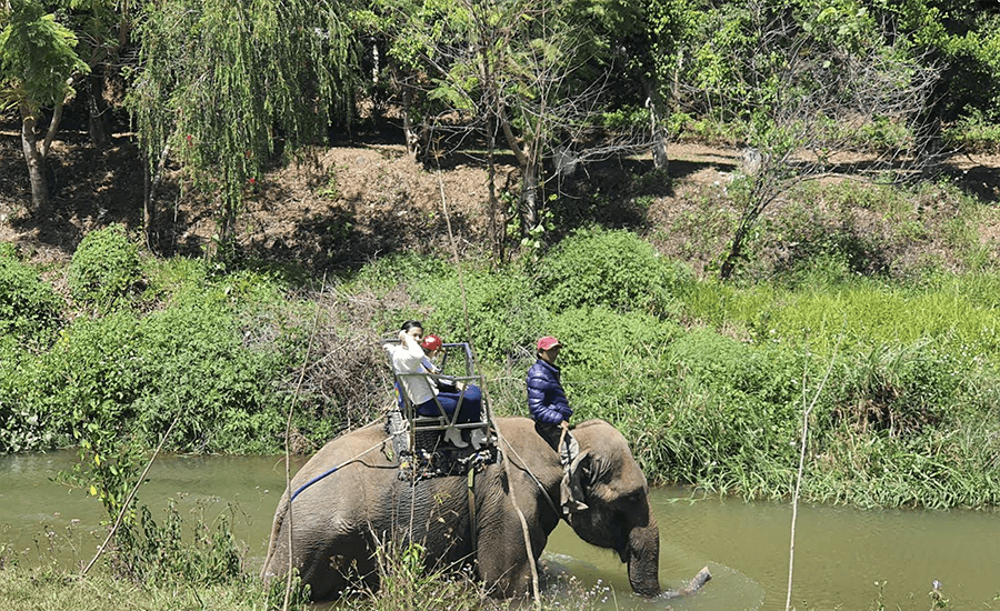 riding elephant in Prenn Waterfall