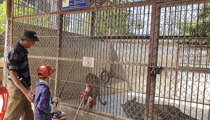 zoo in Prenn Waterfall