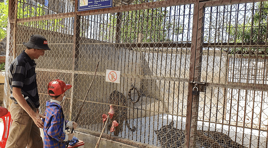 zoo in Prenn Waterfall