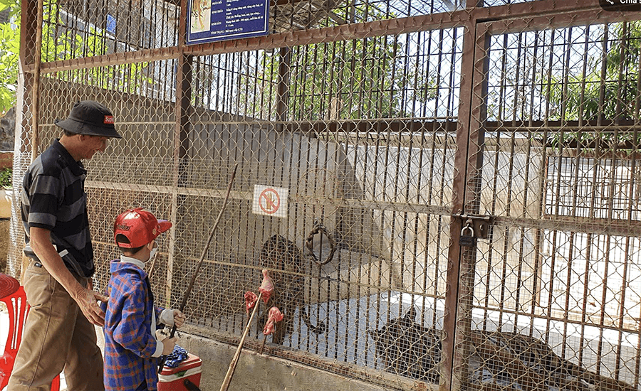 zoo in Prenn Waterfall