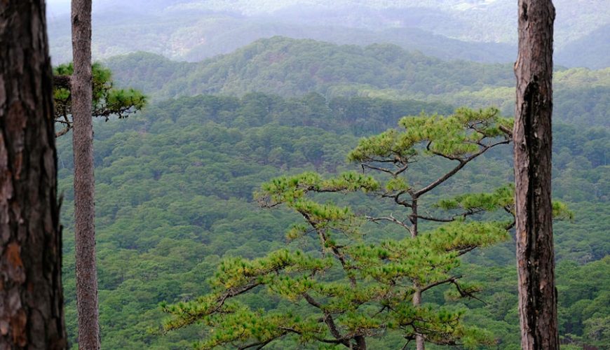 Bidoup Nui Ba National Park