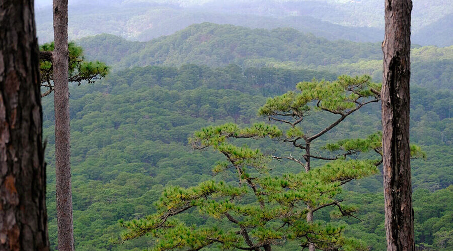 Bidoup Nui Ba National Park