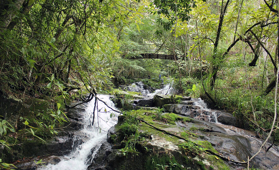 Bidoup Nui Ba National Park