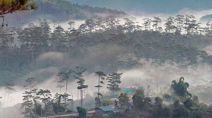 Bidoup Nui Ba National Park