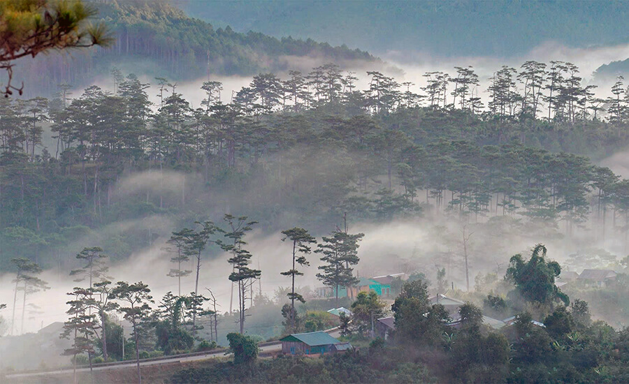 Bidoup Nui Ba National Park