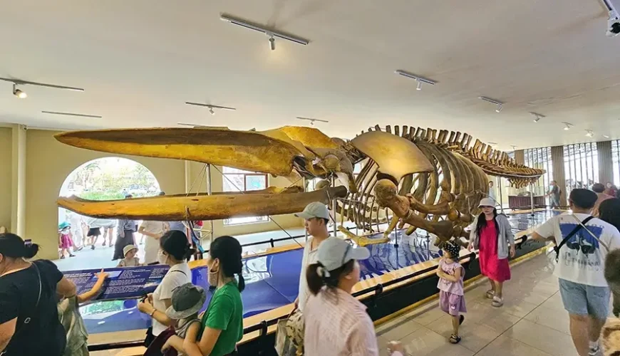 Oceanography Museum