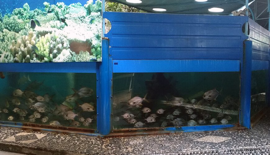 Oceanography Museum