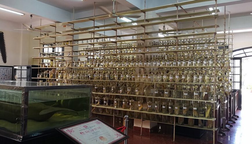 Oceanography Museum