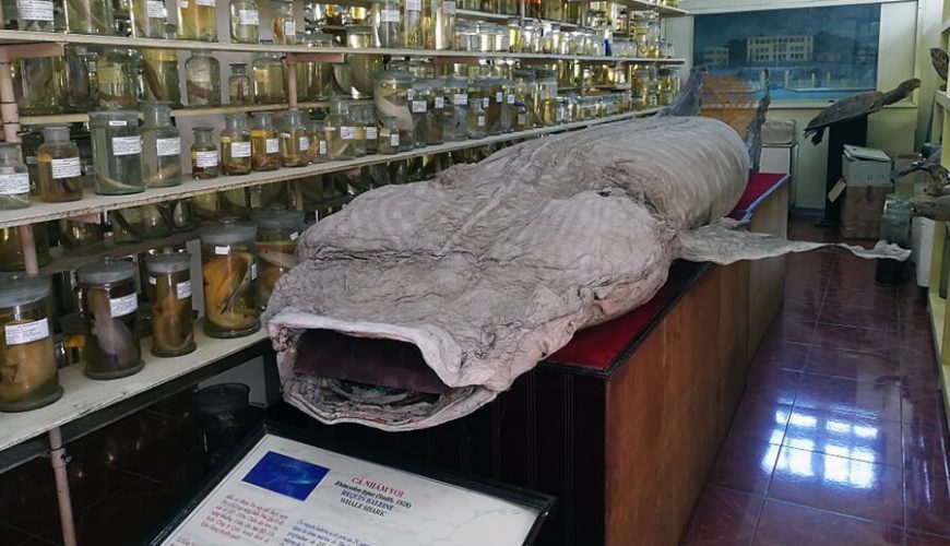Oceanography Museum