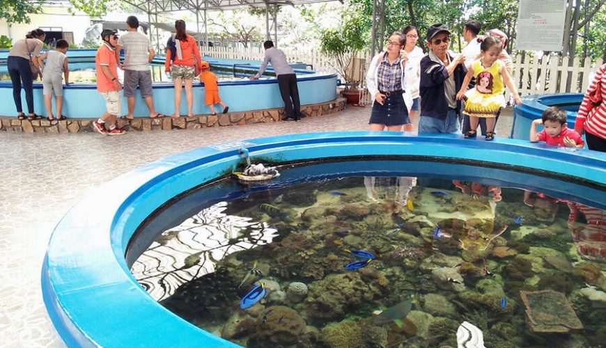 Oceanography Museum