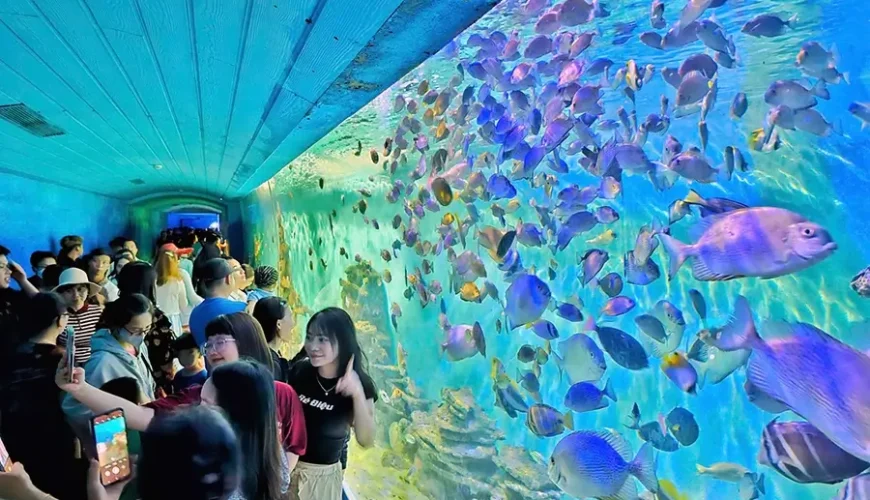 Oceanography Museum