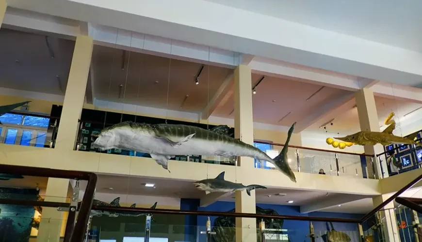 Oceanography Museum