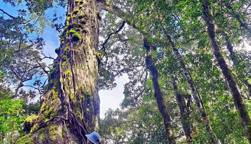 Bidoup Nui Ba National Park