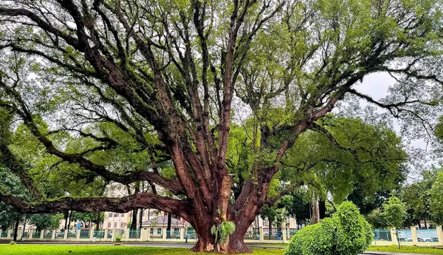 Bao Dai Palace in Buon Ma Thuot