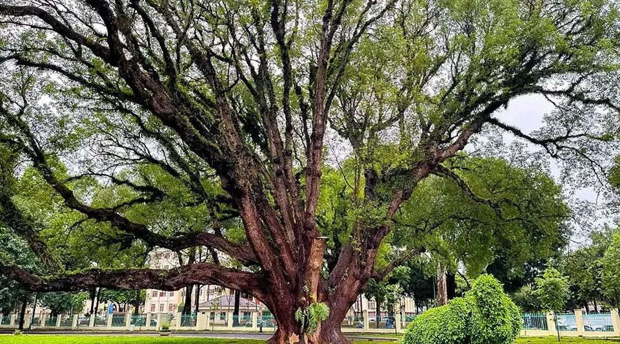 Bao Dai Palace in Buon Ma Thuot
