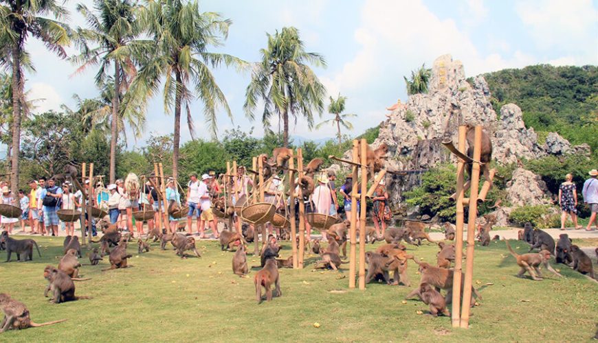 Lao islet
