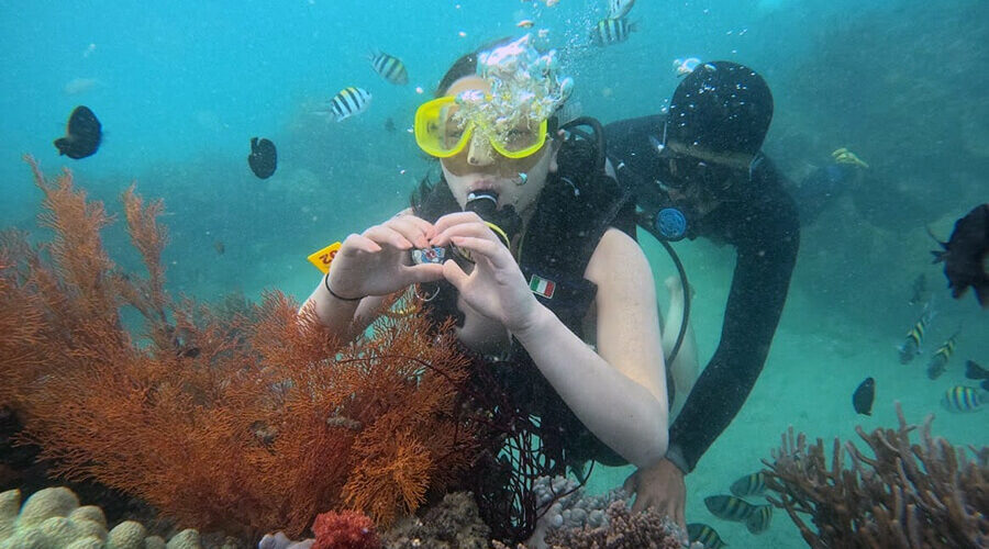 Snorkeling in Mieu islet