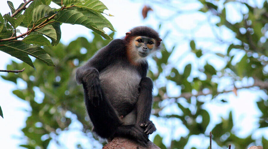 Nui Chua National Park