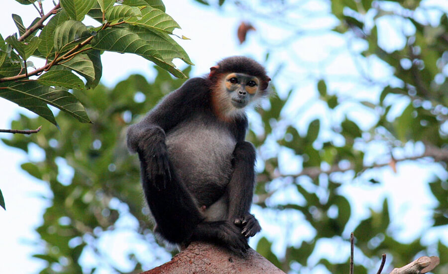 Nui Chua National Park