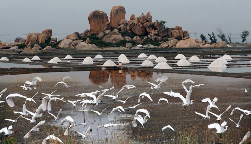 Nui Chua National Park