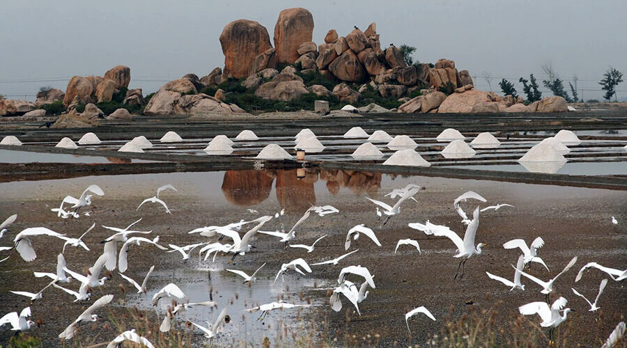 Nui Chua National Park