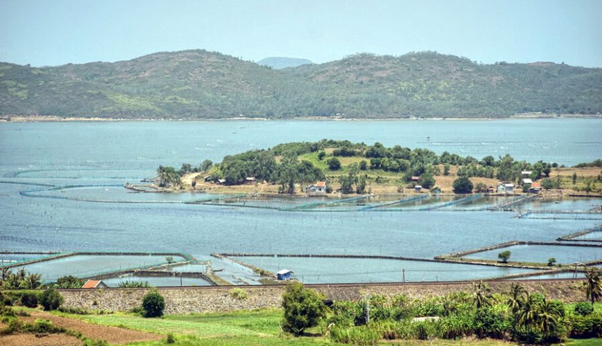 O Loan Lagoon