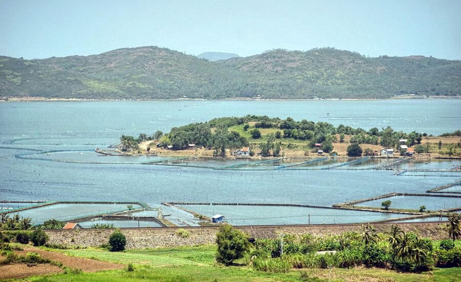 O Loan Lagoon
