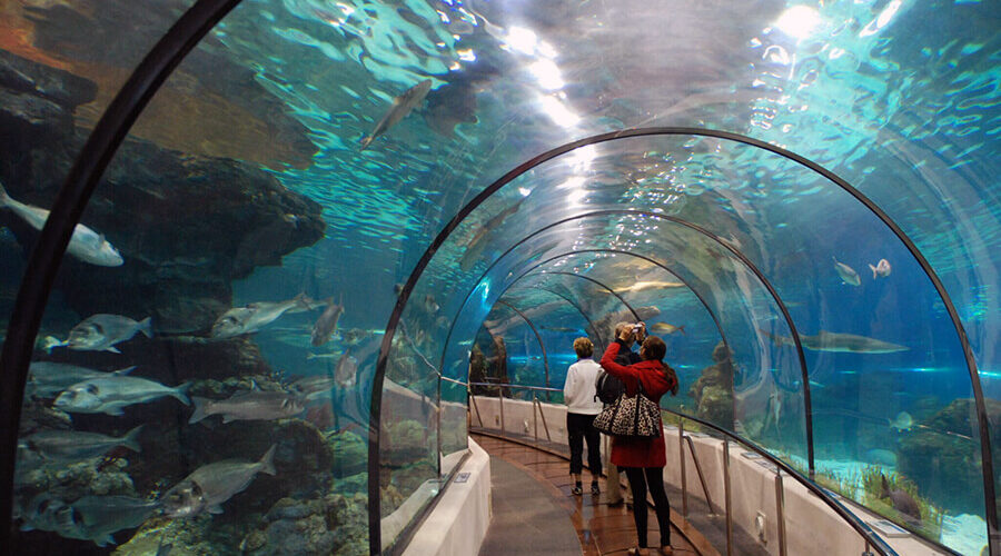 Tri Nguyen Aquarium