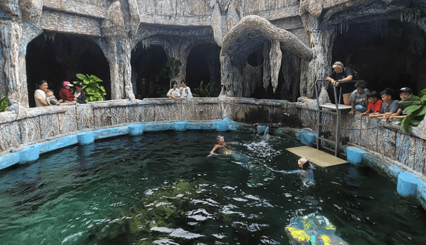 Tri Nguyen Aquarium