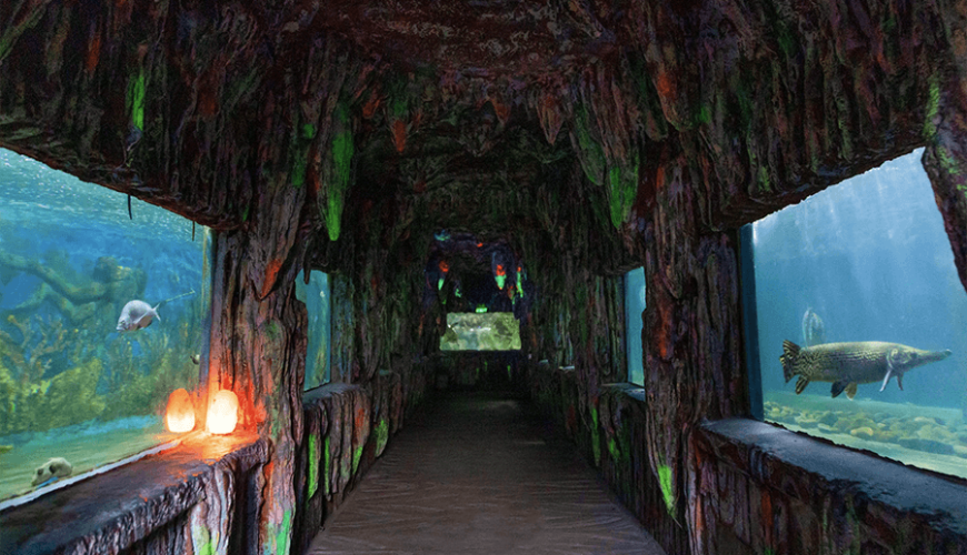 Tri Nguyen Aquarium